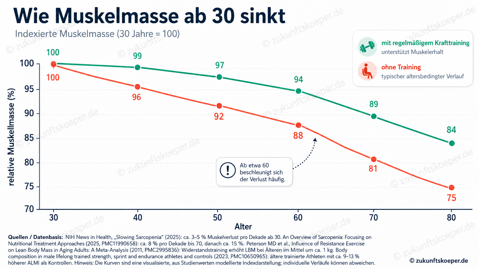 Grafik zum Muskelabbau ab 30 Jahren im Vergleich mit und ohne Krafttraining